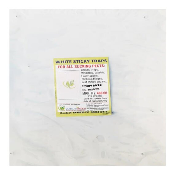 White sticky Trap: A4 Size