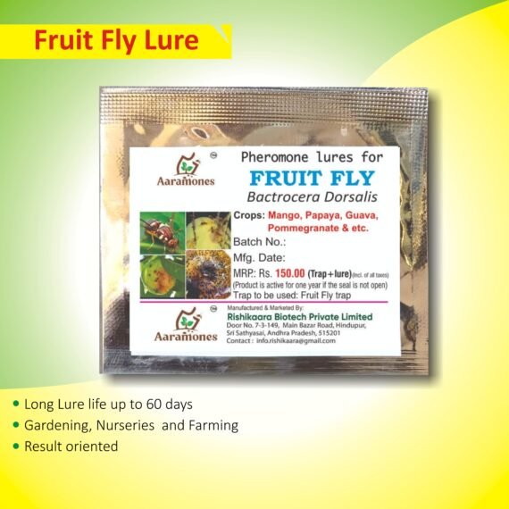 Fruit Fly Lure